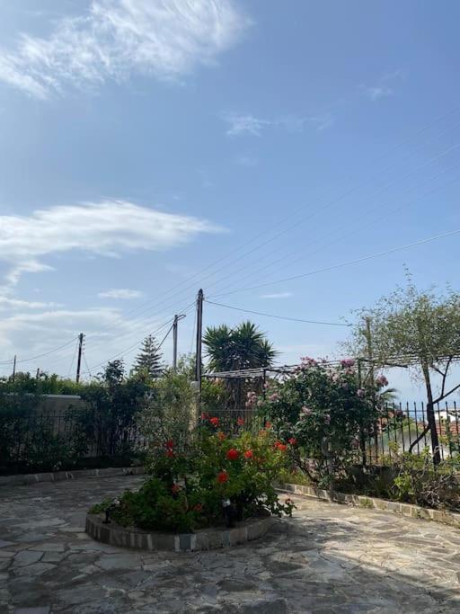 Apartment Cozu Melissi 1